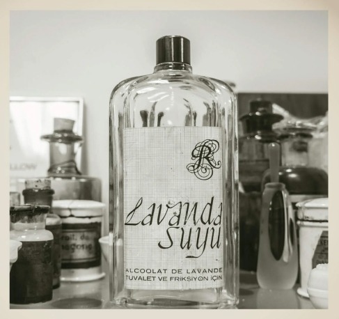 REBUL LAVANDA